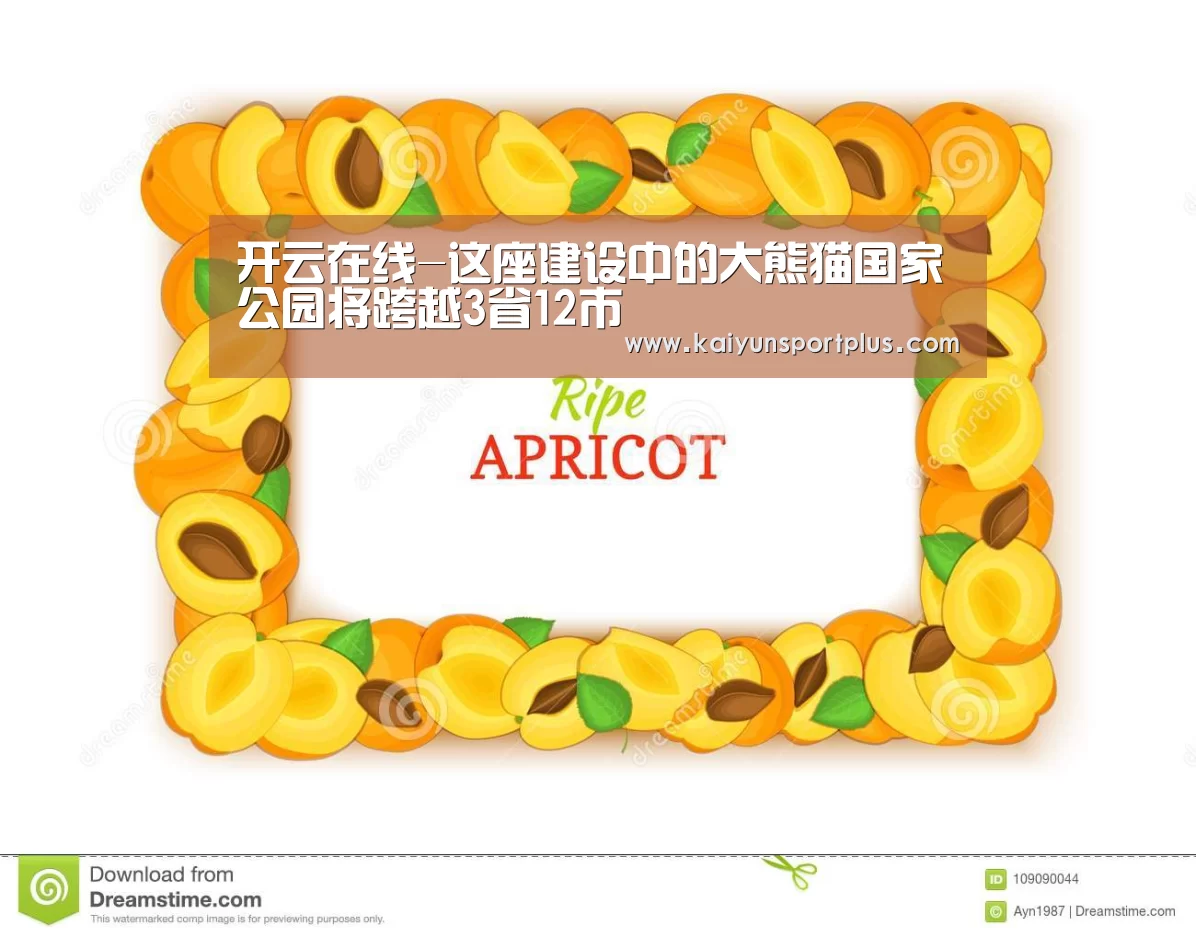 开云在线-这座建设中的大熊猫国家公园将跨越3省12市(图4) 开云在线