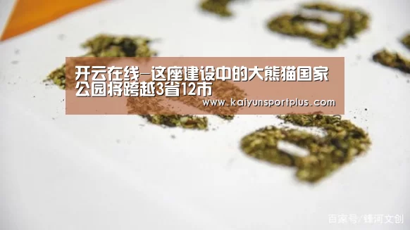 开云在线-这座建设中的大熊猫国家公园将跨越3省12市(图2) 开云在线