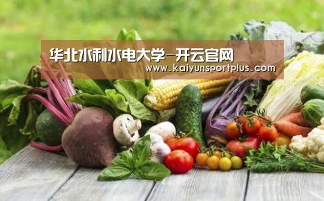 华北水利水电大学-开云官网(图1) 开云在线