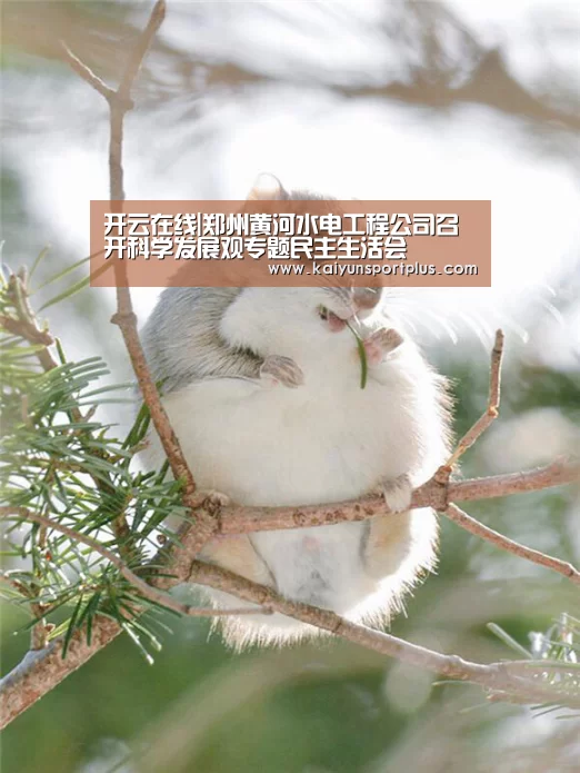 开云在线|郑州黄河水电工程公司召开科学发展观专题民主生活会(图3) 开云官网