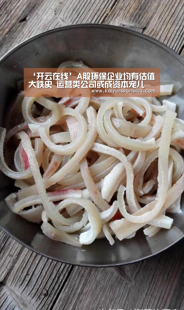 ‘开云在线’A股环保企业均有估值大跌史 运营类公司或成资本宠儿(图1) 开云官网